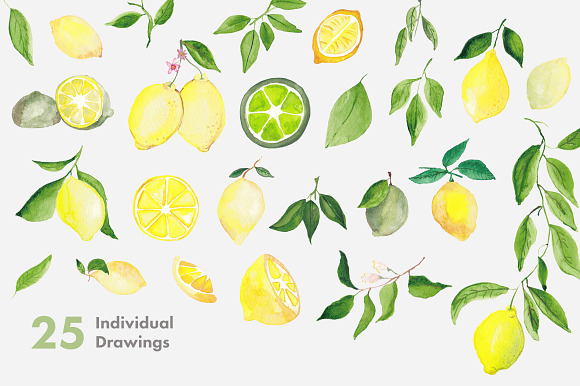 Lemons & Limes Watercolor Collection in Illustrations - product preview 2