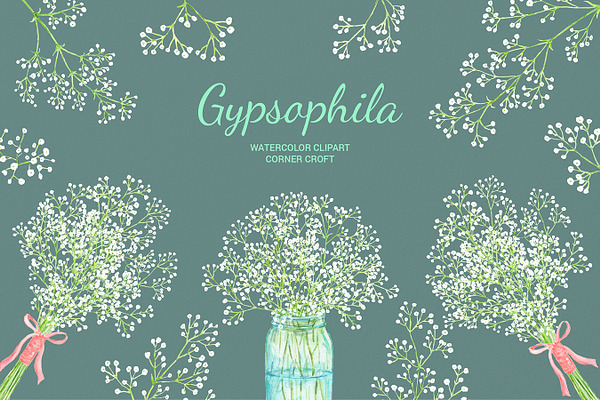 Watercolor Gypsophila Baby's Breath