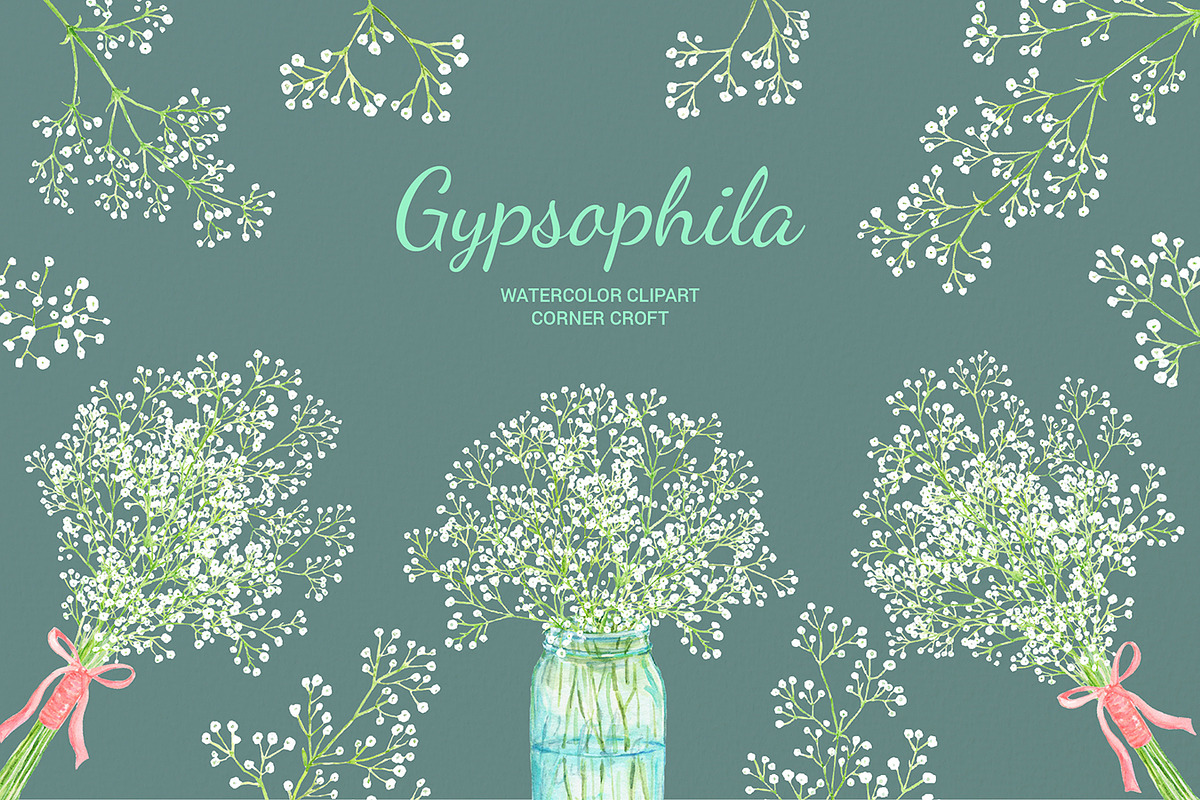 Watercolor Gypsophila Baby's Breath in Illustrations - product preview 8