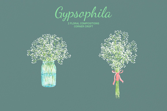 Watercolor Gypsophila Baby's Breath in Illustrations - product preview 1