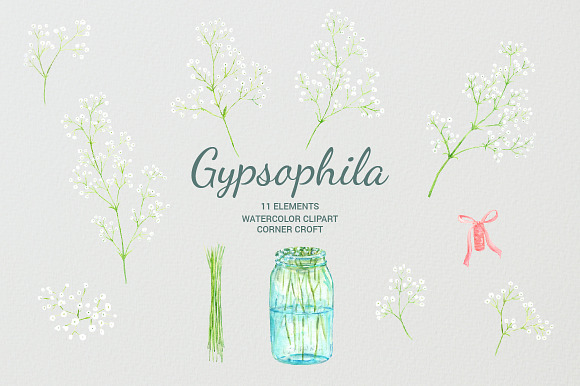 Watercolor Gypsophila Baby's Breath in Illustrations - product preview 3