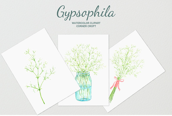 Watercolor Gypsophila Baby's Breath in Illustrations - product preview 4
