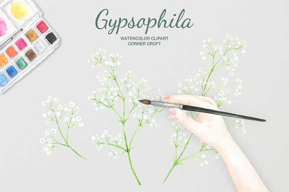 Watercolor Gypsophila Baby's Breath in Illustrations - product preview 5