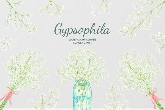 Watercolor Gypsophila Baby's Breath in Illustrations - product preview 6