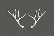 6 Deer Antlers - Hand Illustrated
