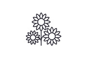 Buttercup line icon concept. Buttercup flat vector sign, symbol, illustration.