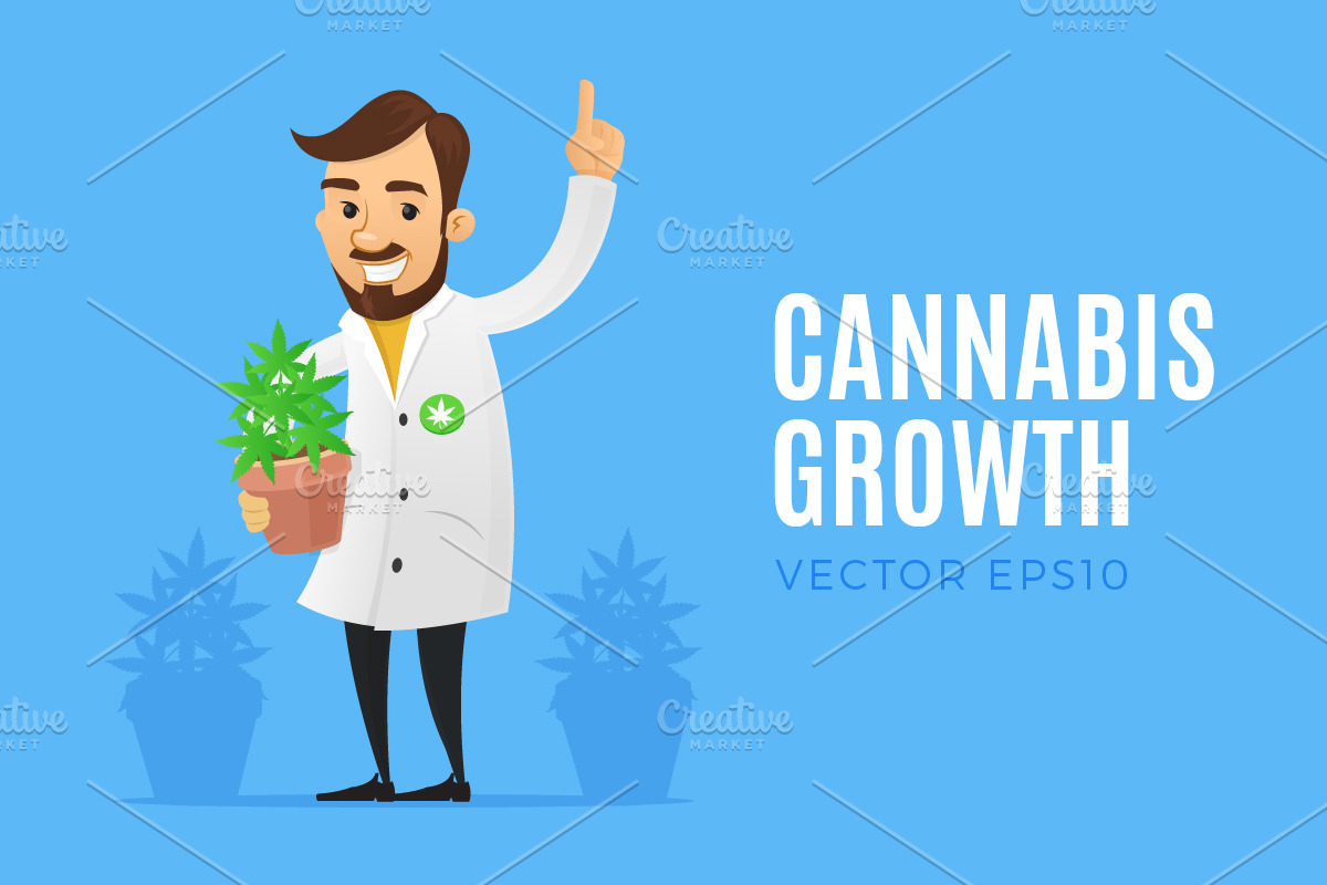 Cannabis Growth in Illustrations - product preview 8