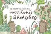 Succulents & Hedgehogs Graphics