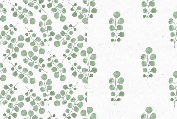 Watercolor Eucalyptus collection in Illustrations - product preview 2