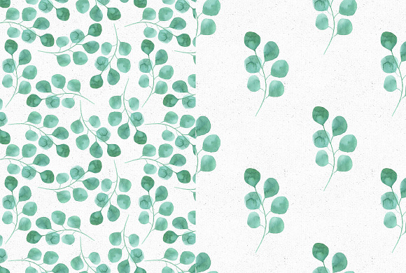 Watercolor Eucalyptus collection in Illustrations - product preview 4