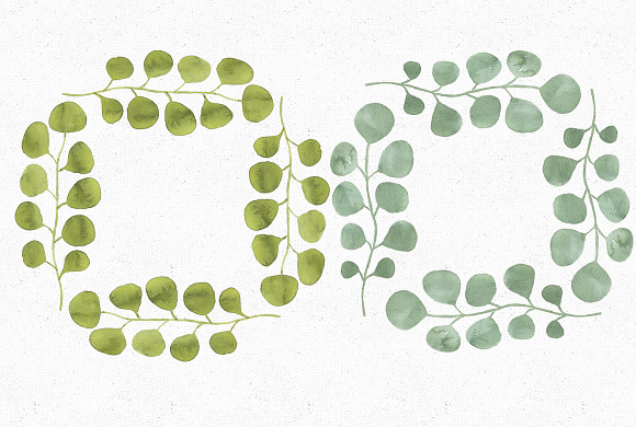 Watercolor Eucalyptus collection in Illustrations - product preview 6