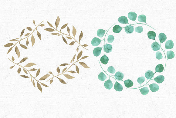 Watercolor Eucalyptus collection in Illustrations - product preview 7