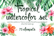 Tropical Watercolor set