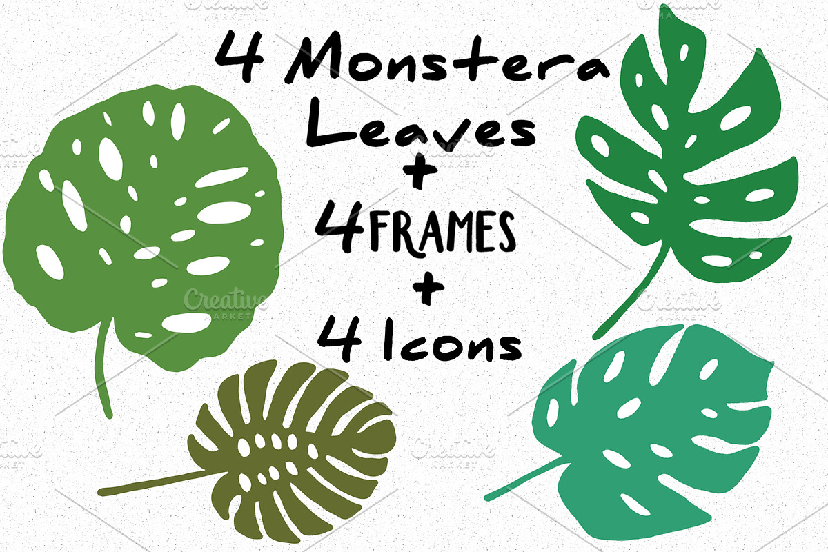 Vector monstera set in Illustrations - product preview 8