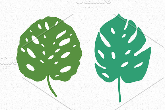 Vector monstera set in Illustrations - product preview 1