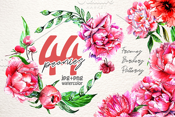 Lovely pink peony PNG watercolor set