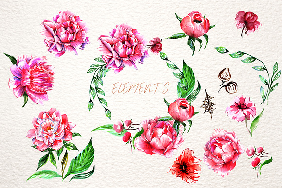 Lovely pink peony PNG watercolor set in Illustrations - product preview 5