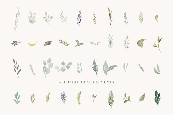 Foliage - Watercolor Leaves in Illustrations - product preview 1