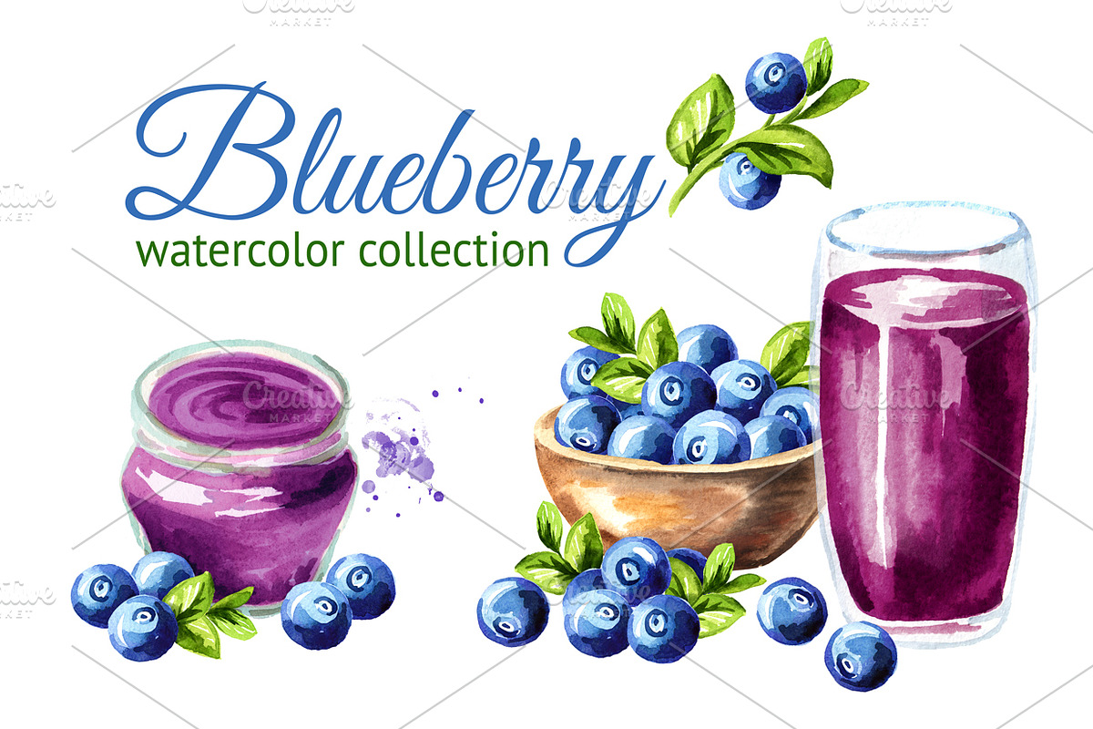Blueberry. Watercolor collection in Illustrations - product preview 8