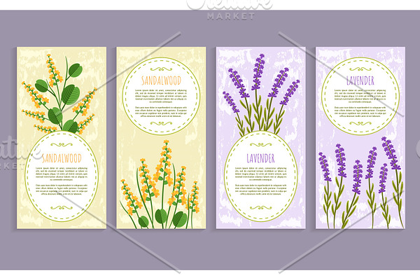 Sandalwood and Lavender Set Vector Illustration