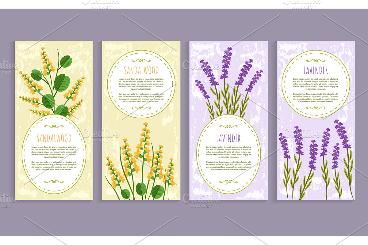 Sandalwood and Lavender Set Vector Illustration in Illustrations - product preview 8