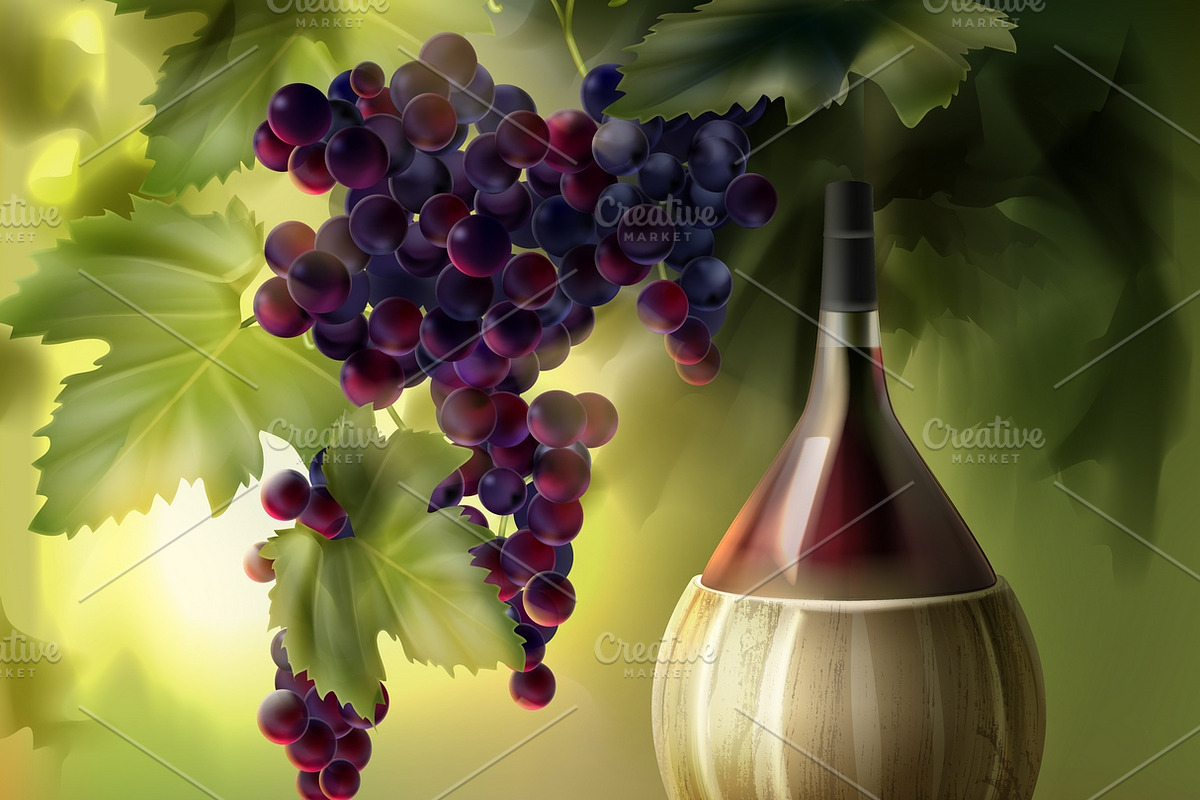 Bottle of wine and bunch of grapes in Illustrations - product preview 8