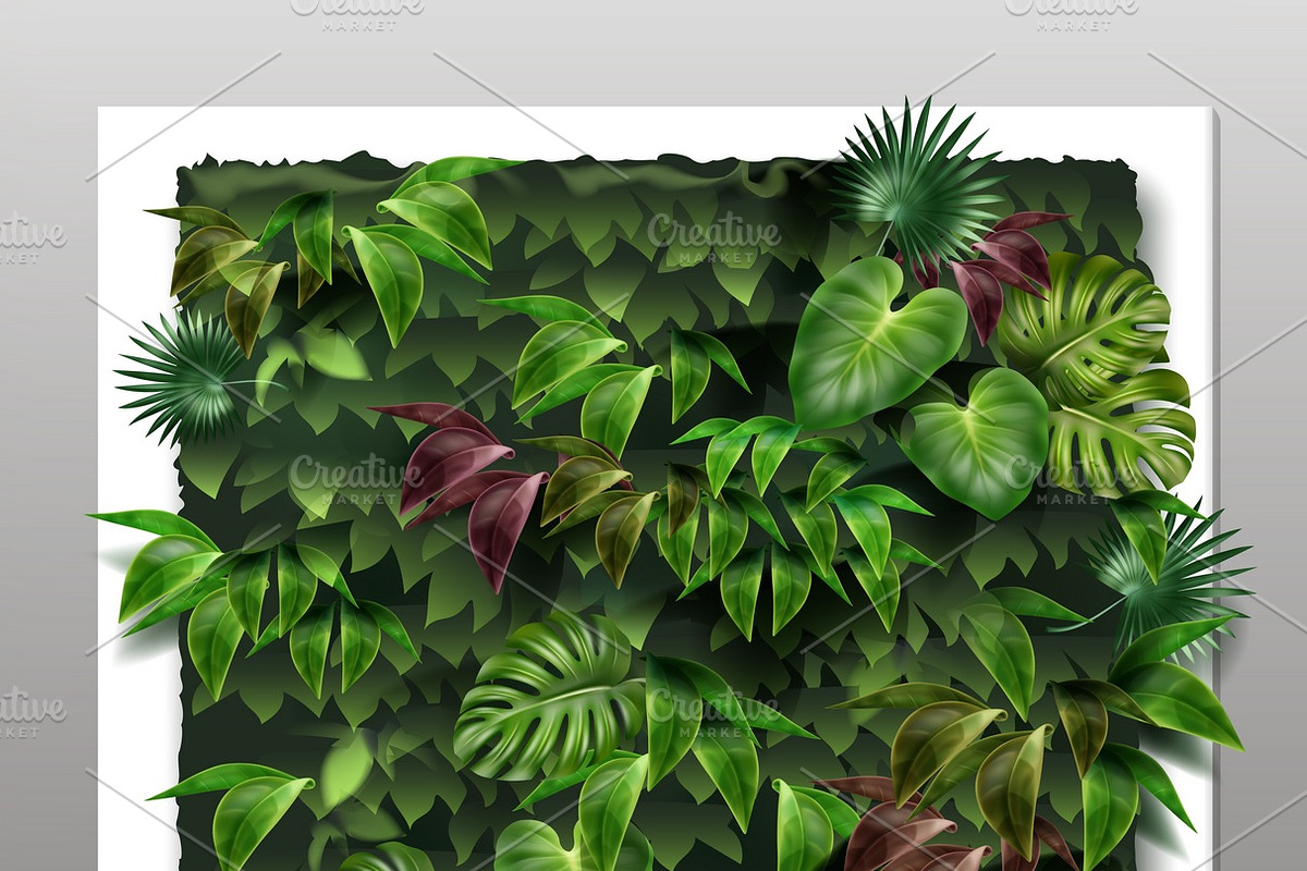 Square vertical garden in Illustrations - product preview 8