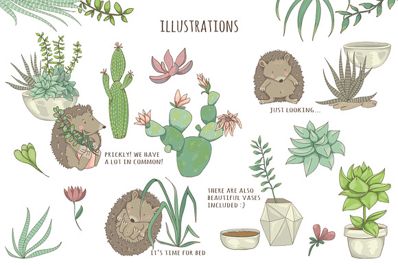 Succulents & Hedgehogs Graphics in Illustrations - product preview 1