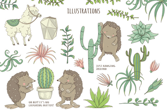 Succulents & Hedgehogs Graphics in Illustrations - product preview 2