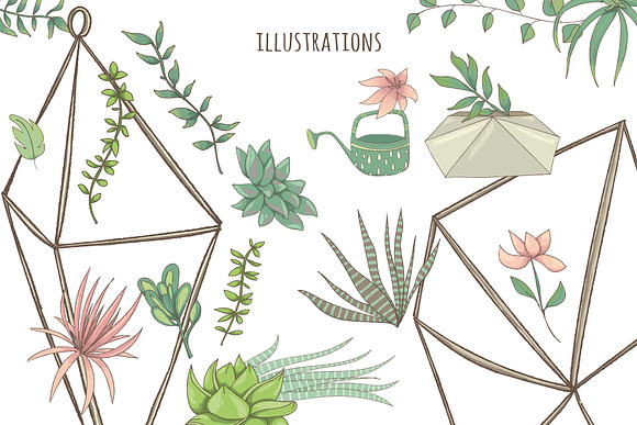 Succulents & Hedgehogs Graphics in Illustrations - product preview 3
