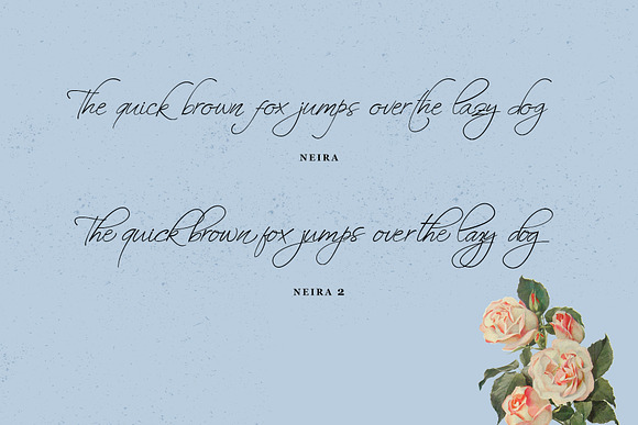 Neira script font in Script Fonts - product preview 3