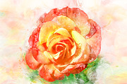 Red & Orange Rose Watercolors