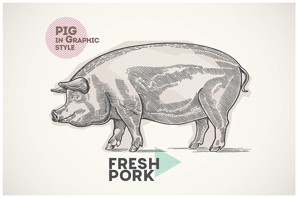 Pigs in graphical style in Illustrations - product preview 2