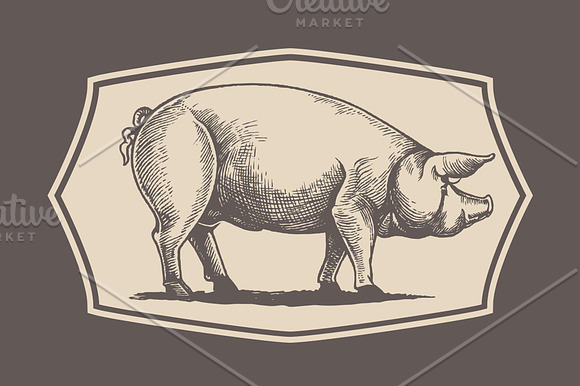 Pigs in graphical style in Illustrations - product preview 3