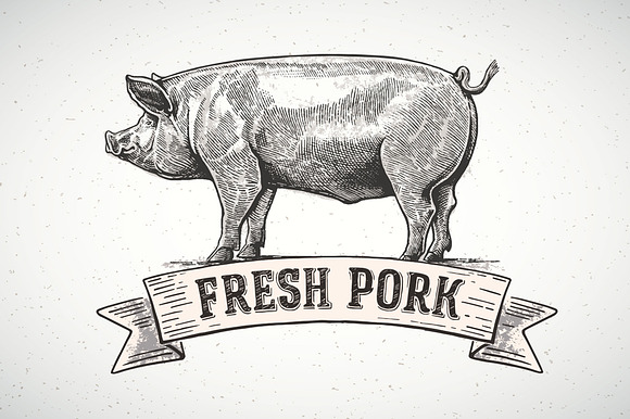 Pigs in graphical style in Illustrations - product preview 7