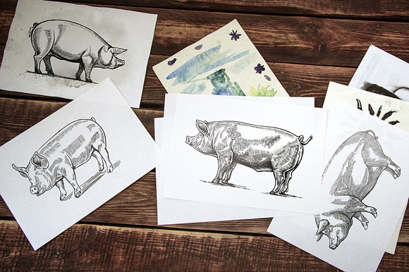 Pigs in graphical style in Illustrations - product preview 10
