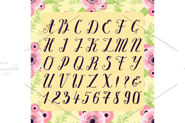 Calligraphic vector font with floral nature numbers ampersand and symbols flower hand drawn alphabet lettering