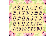 Calligraphic vector font with floral nature numbers ampersand and symbols flower hand drawn alphabet lettering