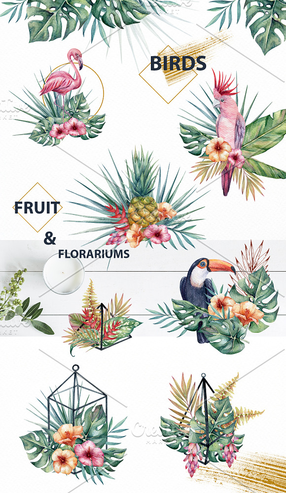 Tropical vibes- watercolor set in Illustrations - product preview 4