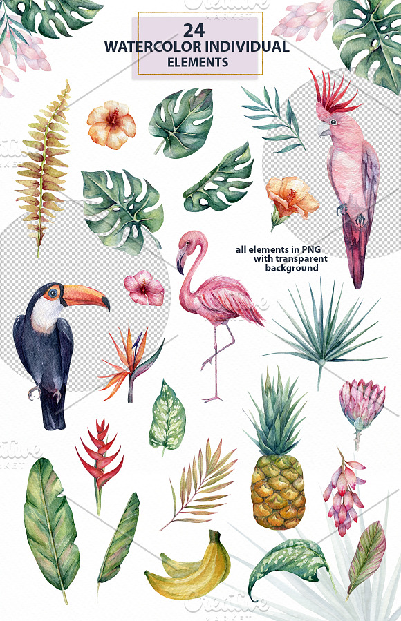 Tropical vibes- watercolor set in Illustrations - product preview 6