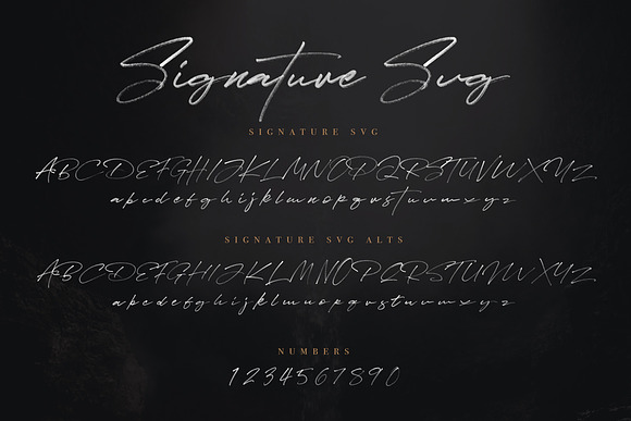JV Signature SVG - Opentype SVG in Signature Fonts - product preview 5