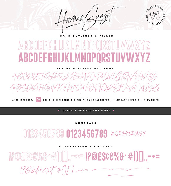 Havana Sunset Font Duo + SVG in Display Fonts - product preview 7
