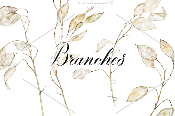 Lunaria branches