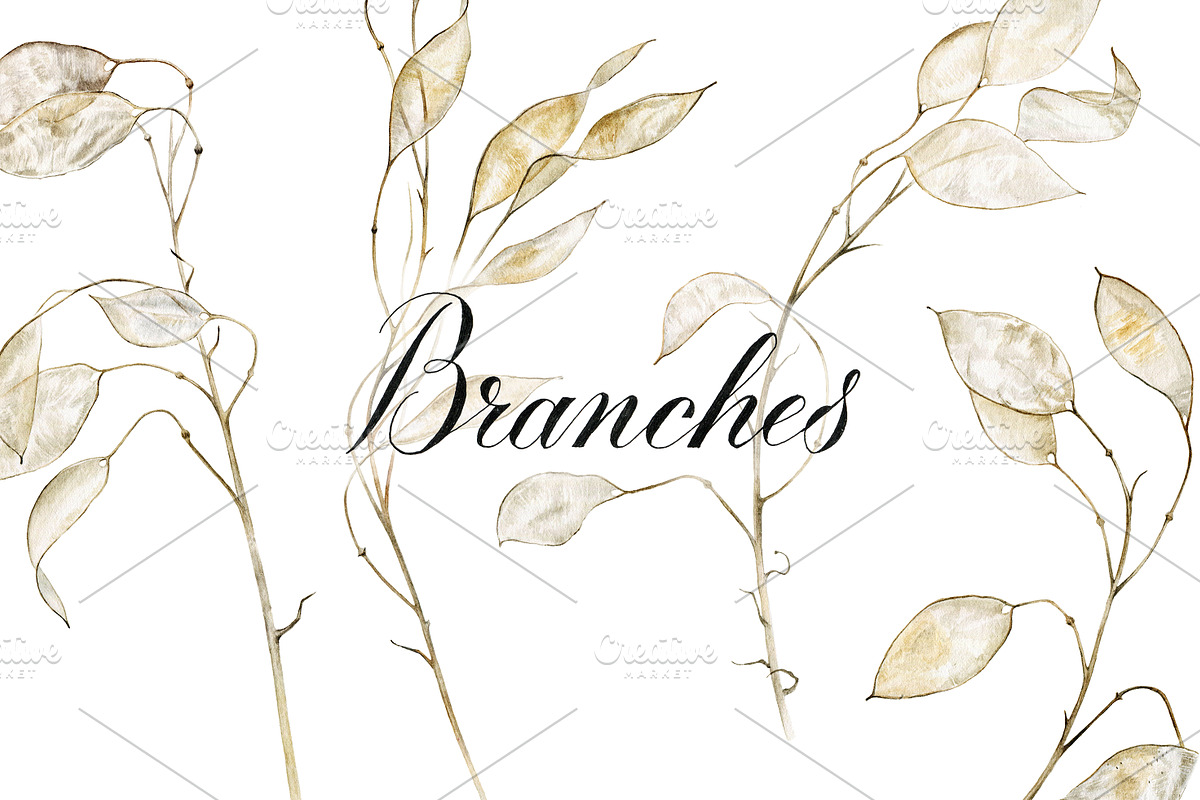 Lunaria branches in Illustrations - product preview 8