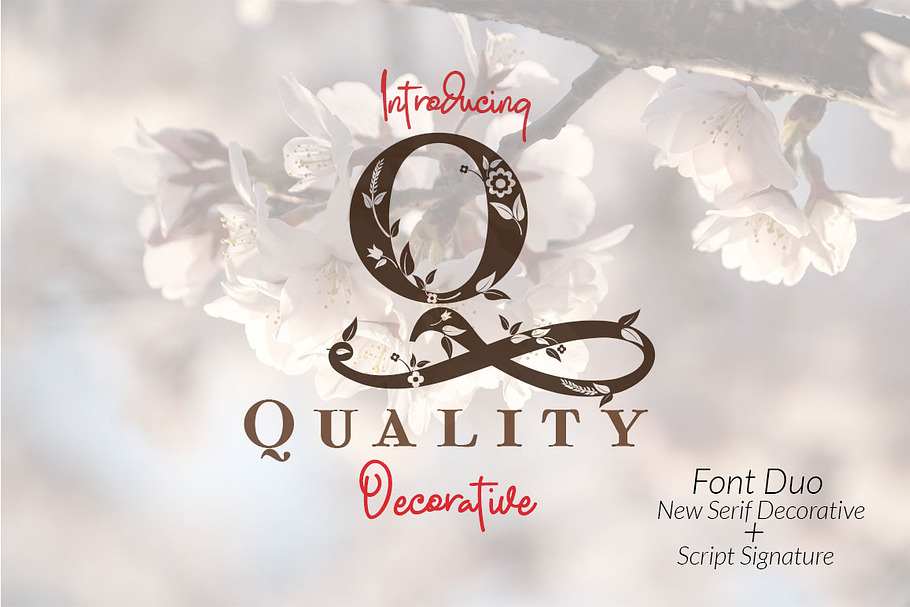 Quality Decorative Font Duo in Display Fonts - product preview 8