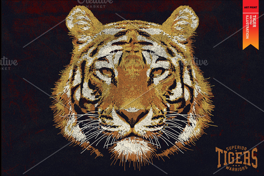 TIGERS - Vector illustration