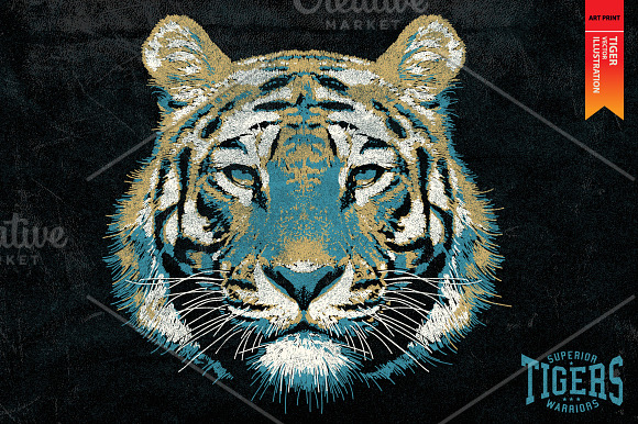 TIGERS - Vector illustration in Illustrations - product preview 1