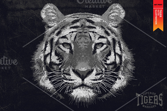 TIGERS - Vector illustration in Illustrations - product preview 3