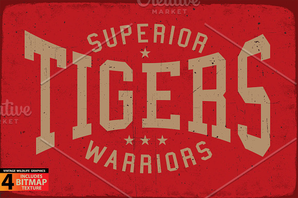 TIGERS - Vector illustration in Illustrations - product preview 6