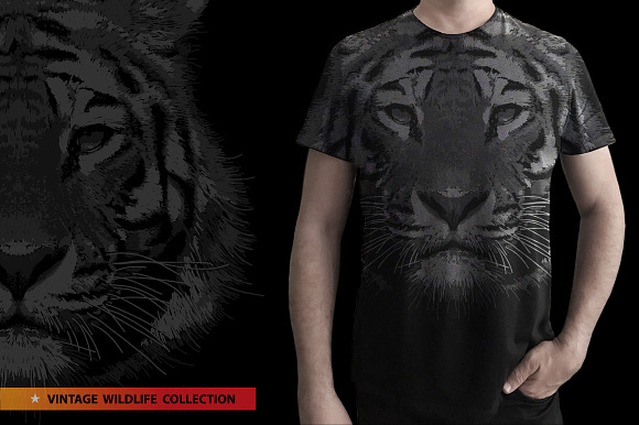 TIGERS - Vector illustration in Illustrations - product preview 9